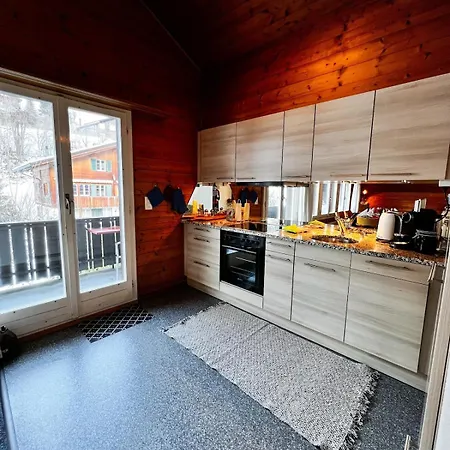 Cozy Alpengluehn Apartment Grindelwald